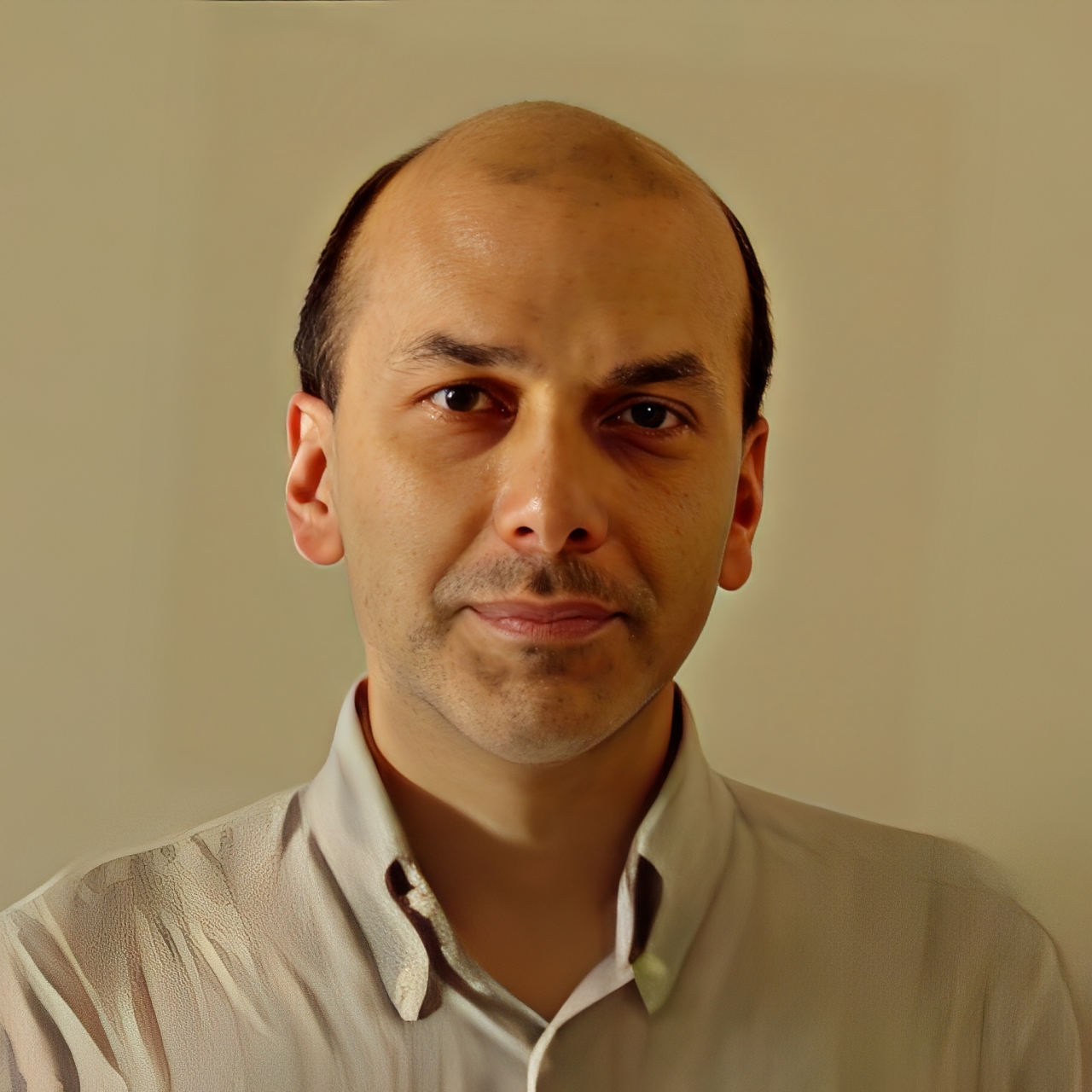 Paolo Bottoni